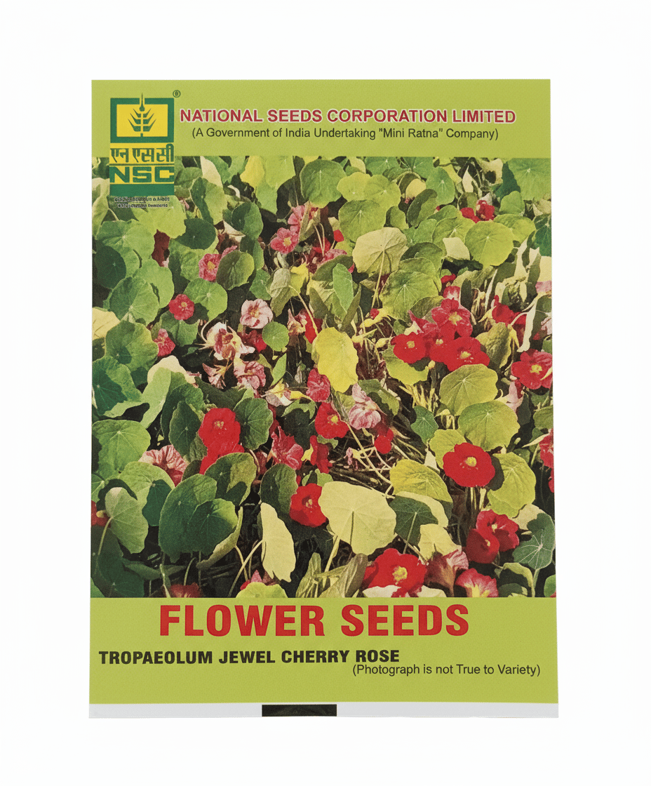 TROPAELUM JEWEL CHERRY ROSE