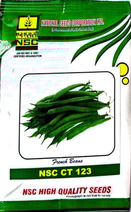 French beans NSC CT 123