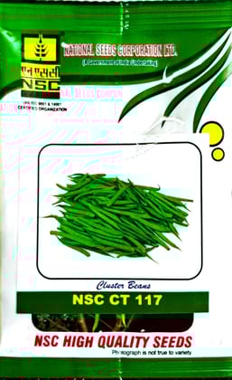 Cluster beans NSC CT 117