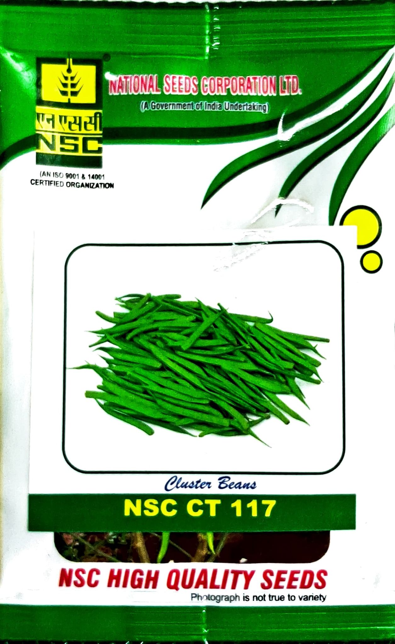 Cluster beans NSC CT 117