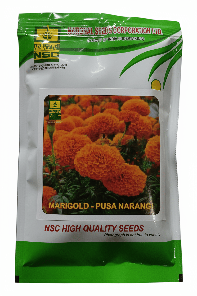 MARIGOLD PUSA NARANGI
