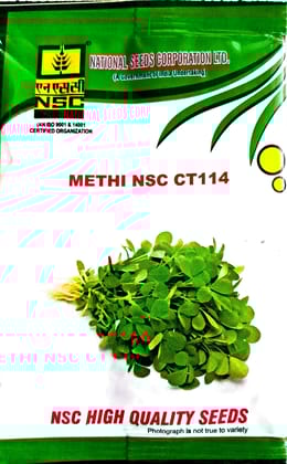 Methi ( fenugreek) NSC CT 114