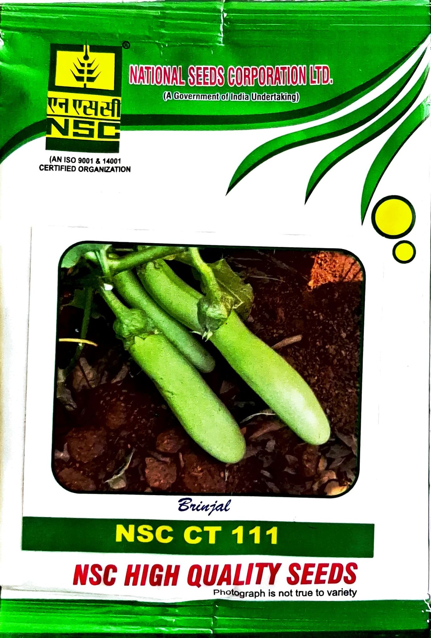 Brinjal NSC CT 111