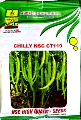 CHILLY NSC CT 119