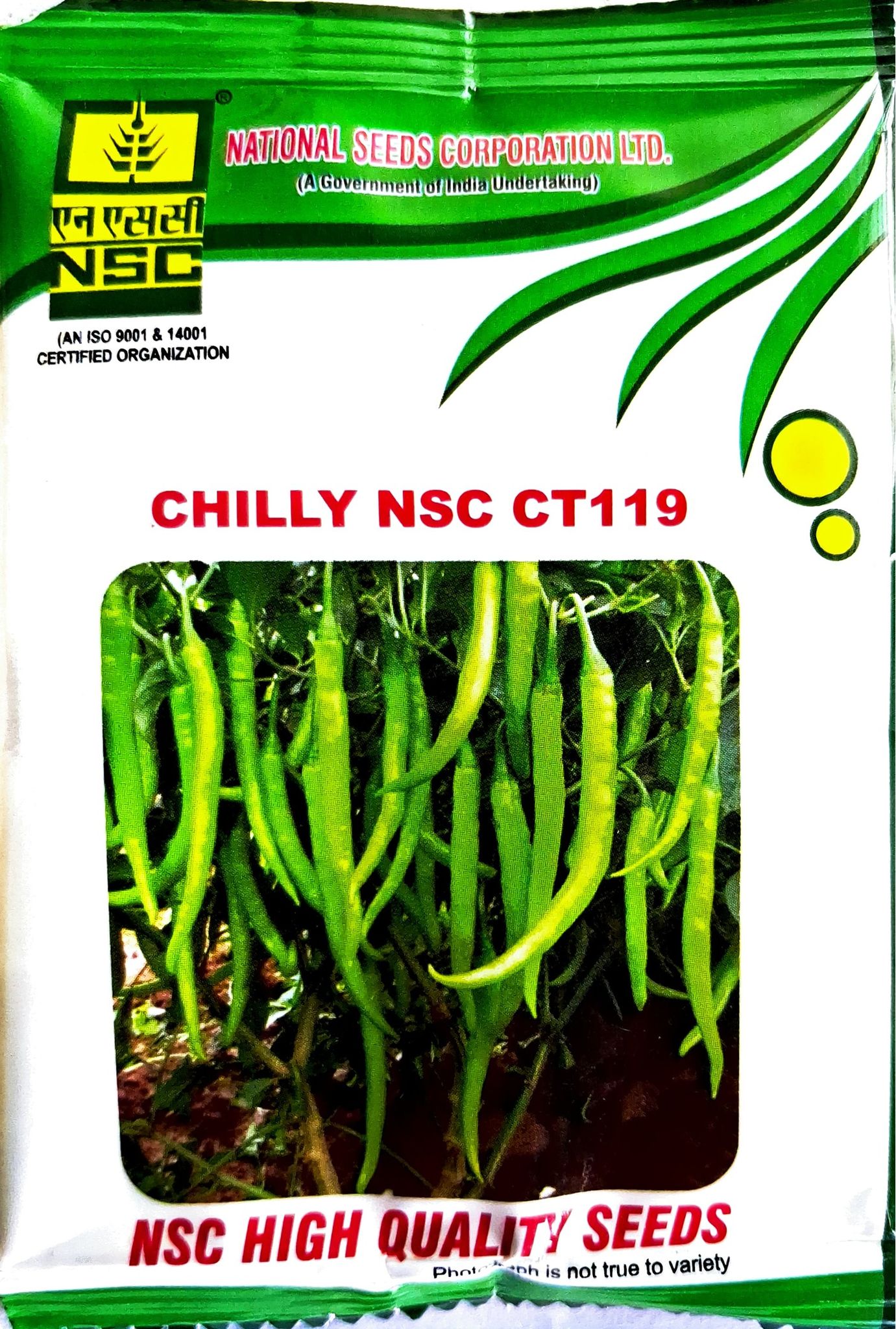 CHILLY NSC CT 119