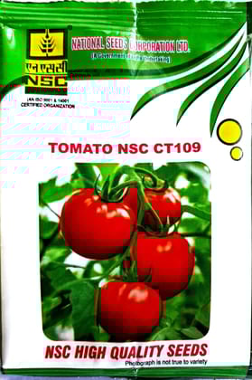 Tomato NSC CT 109