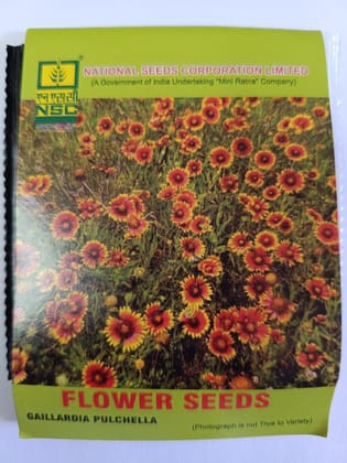 GAILLARDIA PULCHELLA