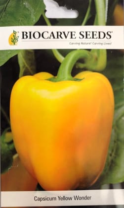 Capsicum Yellow Wonder Seeds