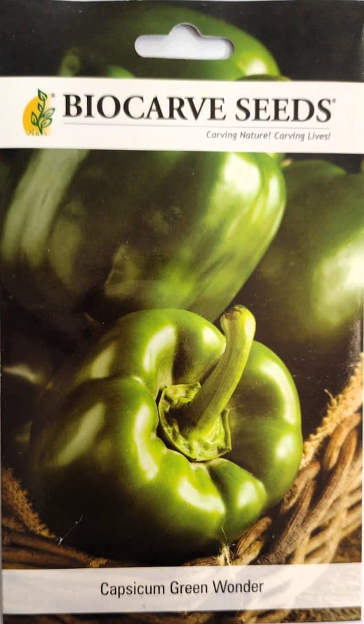 Capsicum Green Wonder Seeds