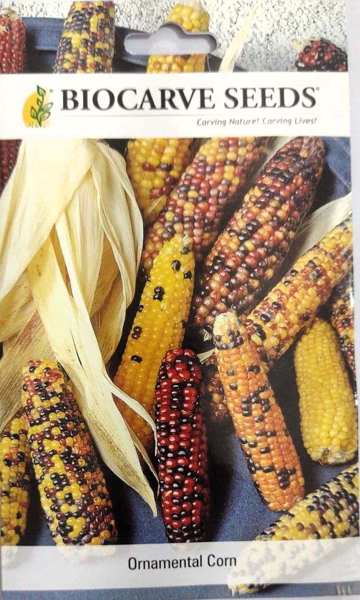 Ornamental Corn Seeds