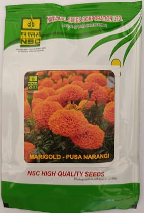 Marigold - Pusa Narangi