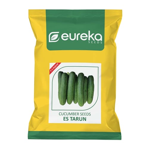 CUCUMBER ES TARUN F1 HYBRID