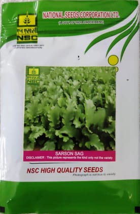 NSC SARSON SAG PUSA SAG 1 - 20gms-T/L SEEDS NSC SARSON SAG PUSA SAG 1 - 20gms-T/L SEEDS