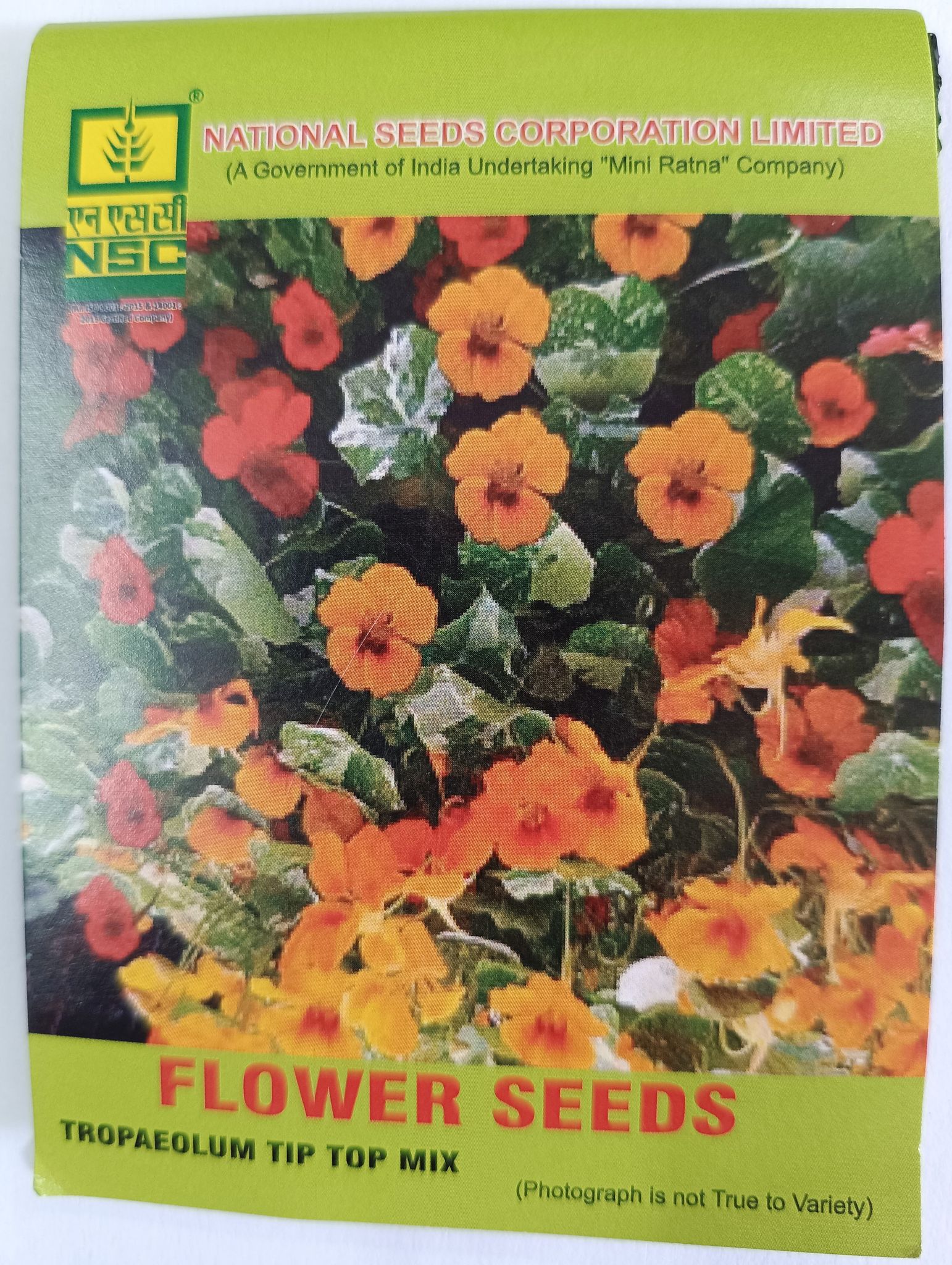 Tropaeolum Tip Top Mix (Nasturtium Hybrid)