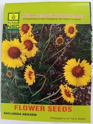 Gaillardia Aristata
