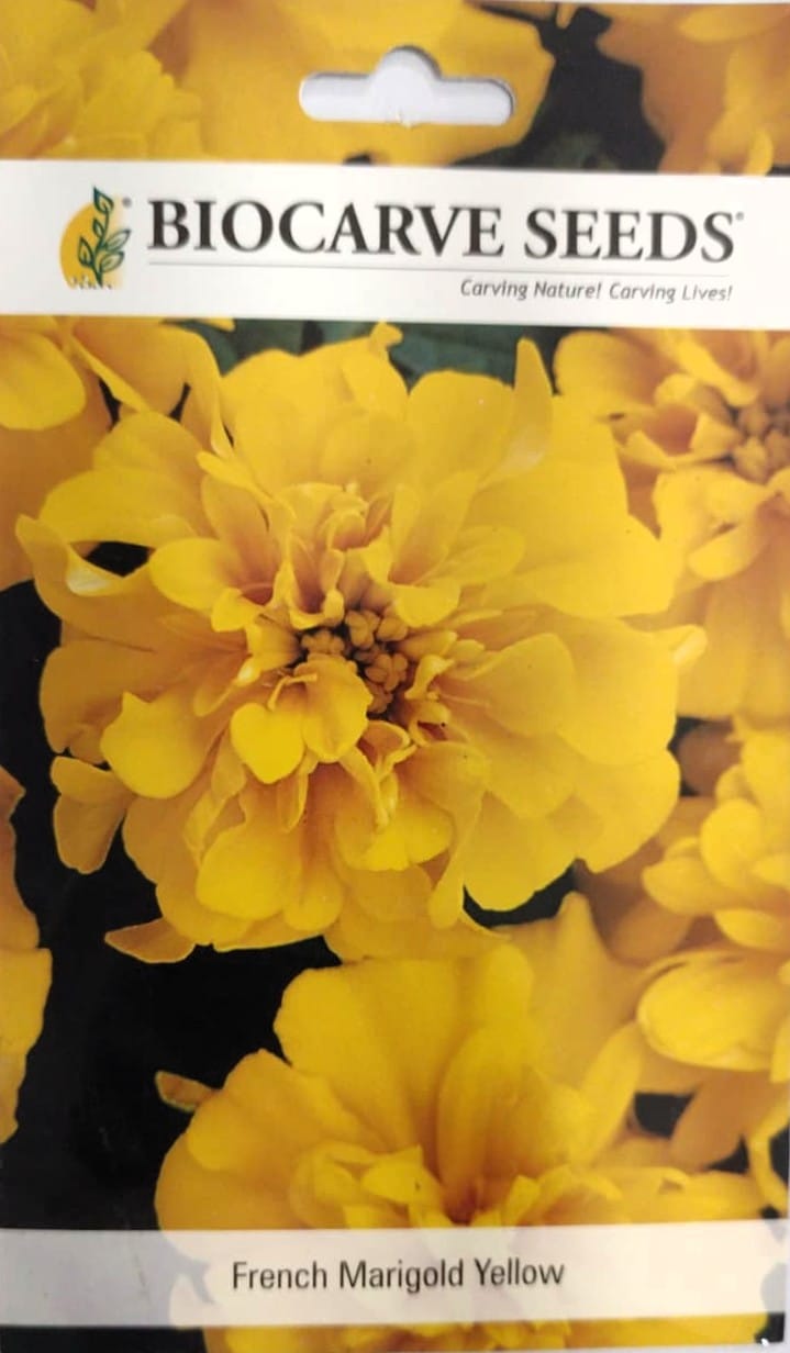 French Marigold Yellow Flower seeds