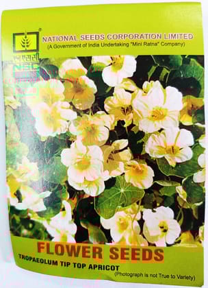 Tropaeolum Tip Top Apricot