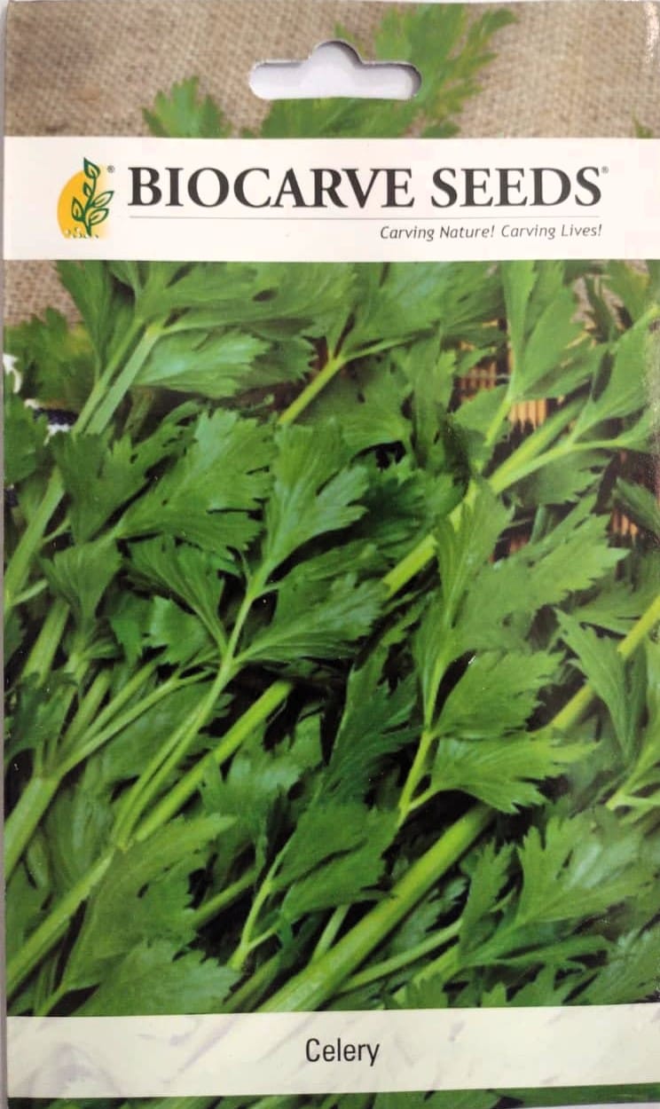 Herb Celery