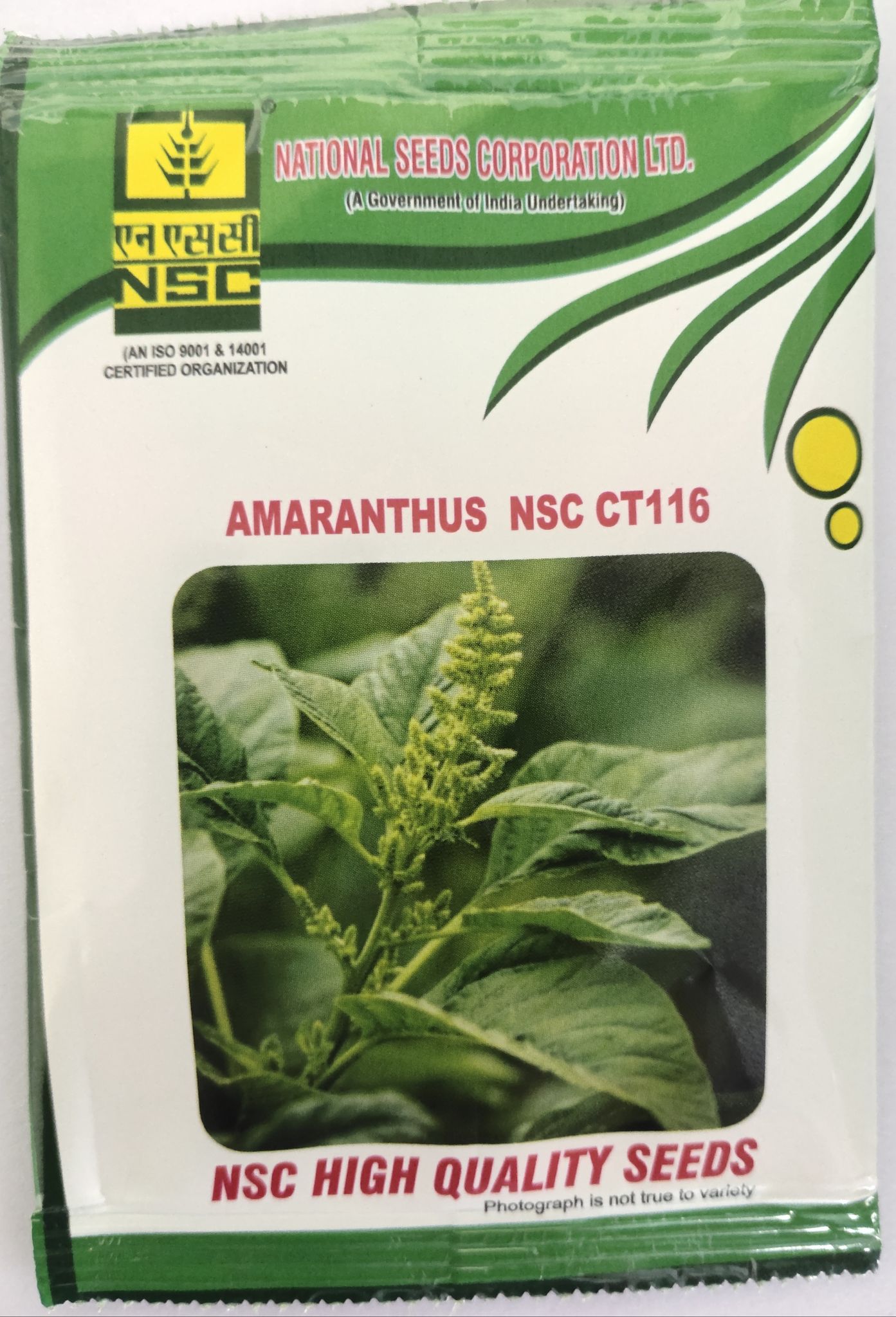 AMARANTHUS NSC CT 116