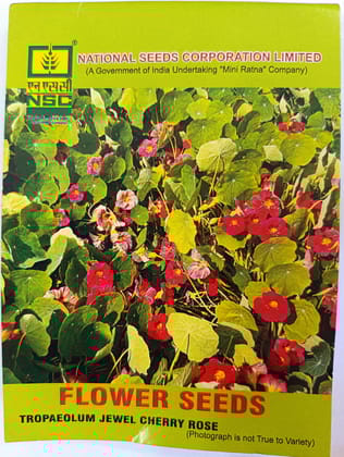 Tropaeolum Jewel Cherry Rose (Nasturtium)