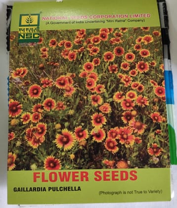 NSC Gaillardia Pulchella Flower Seeds 5 Gm - Vibrant Indian Blanket Flowers NSC Gaillardia Pulchella Flower Seeds 5 Gm - Vibrant Indian Blanket Flowers
