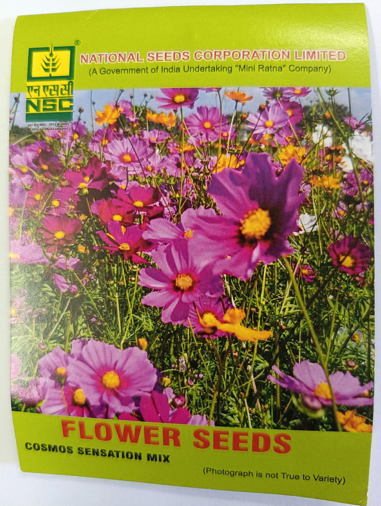 Cosmos Sensation Mix