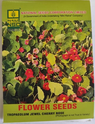 NSC Tropaeolum Jewel Cherry Rose Flower Seeds 10 gm NSC Tropaeolum Jewel Cherry Rose Flower Seeds 10 gm