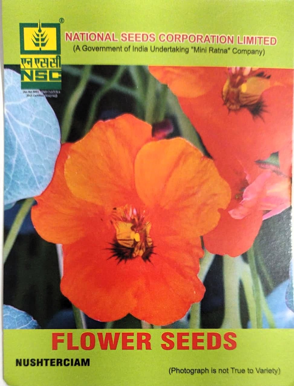 NSC Flower - Nushterciam Seeds