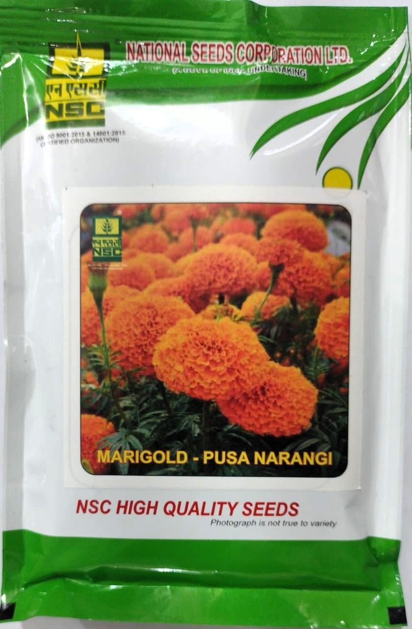 NSC Flower - Marigold (Pusa Narangi) Flower Seed