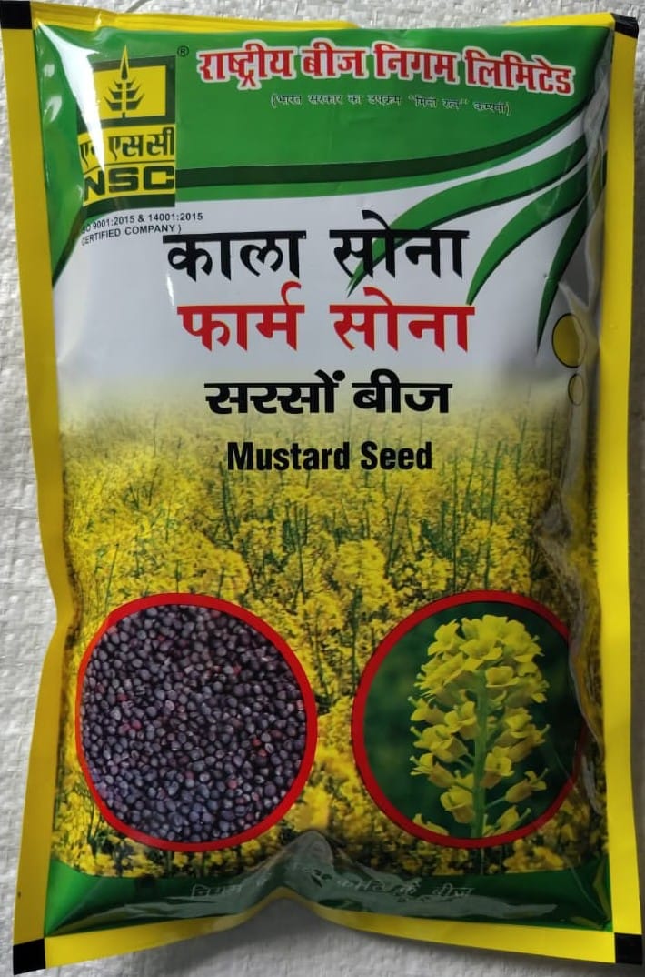 NSC Mustard RH-761 TL seed 1 kg pouch