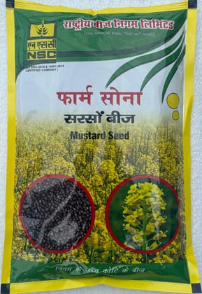 NSC Mustard RH-725 TL seed 1 kg pouch
