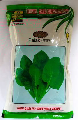 NSC PALAK / ALL GREEN T/L SEED 250GM