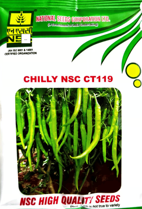 NSC CHILLI NSC CT119