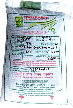 National Seeds Corporation GW-451 Wheat Seeds (40 kg) - High Quality Grain Seed National Seeds Corporation GW-451 Wheat Seeds (40 kg) - High Quality Grain Seed