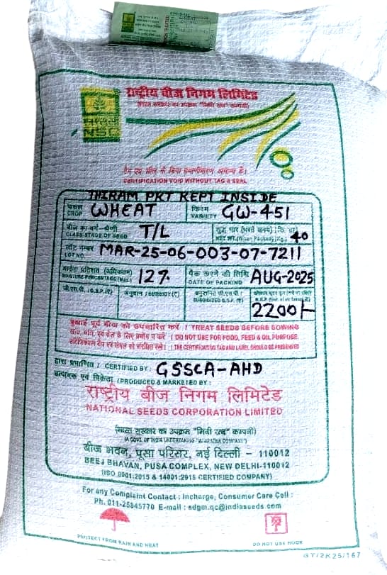 National Seeds Corporation GW-451 Wheat Seeds (40 kg) - High Quality Grain Seed