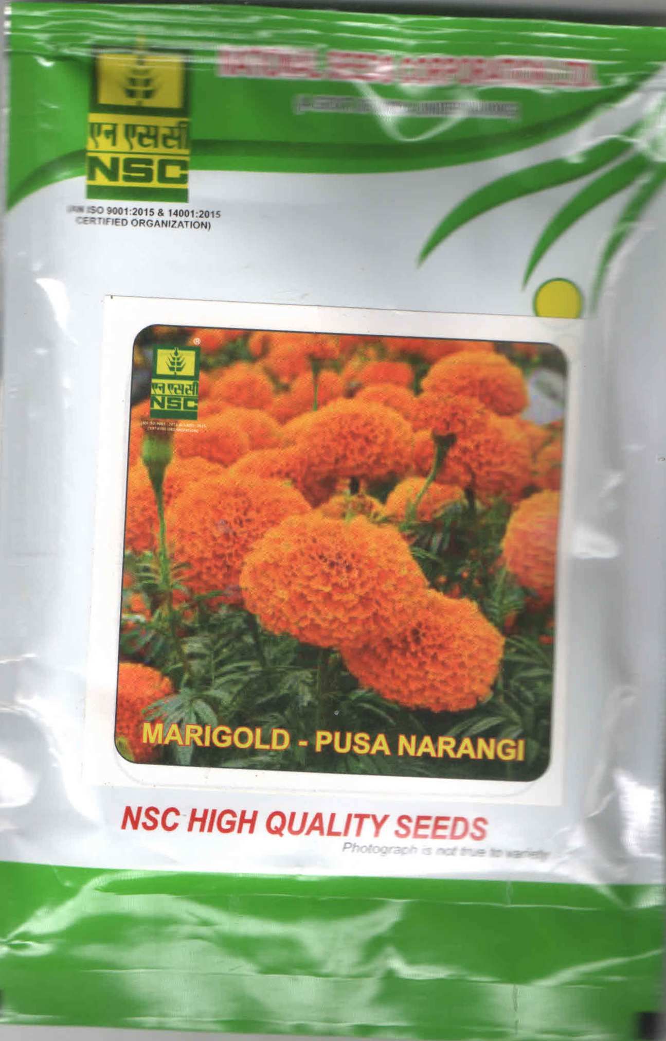 NSC Marigold Pusa Narangi