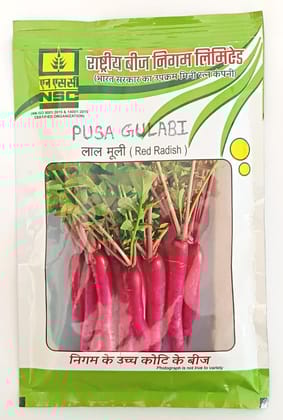 NSC Radish Pusa Gulabi Variety, 100 gram T/L Seed