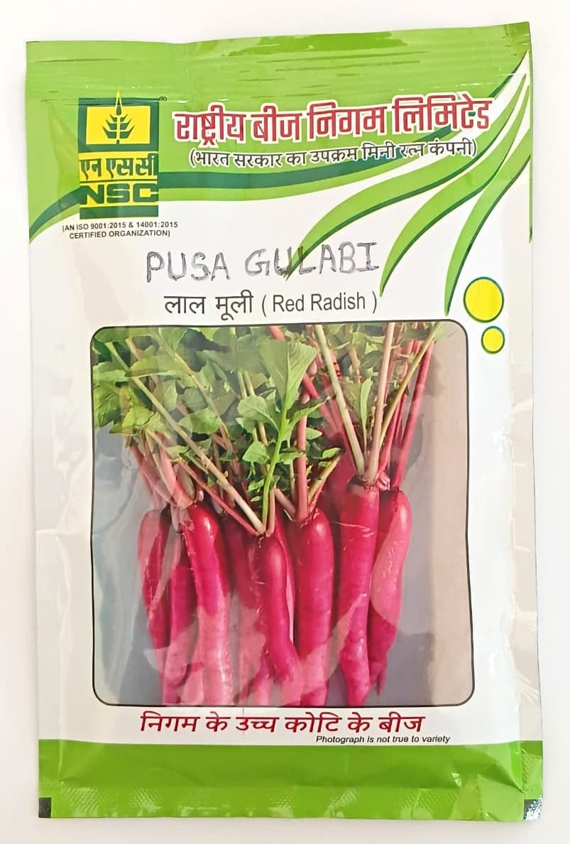 NSC Radish Pusa Gulabi Variety, 100 gram T/L Seed