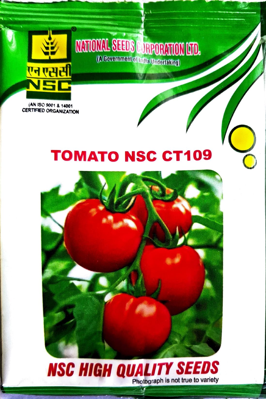 Tomato NSC CT 109