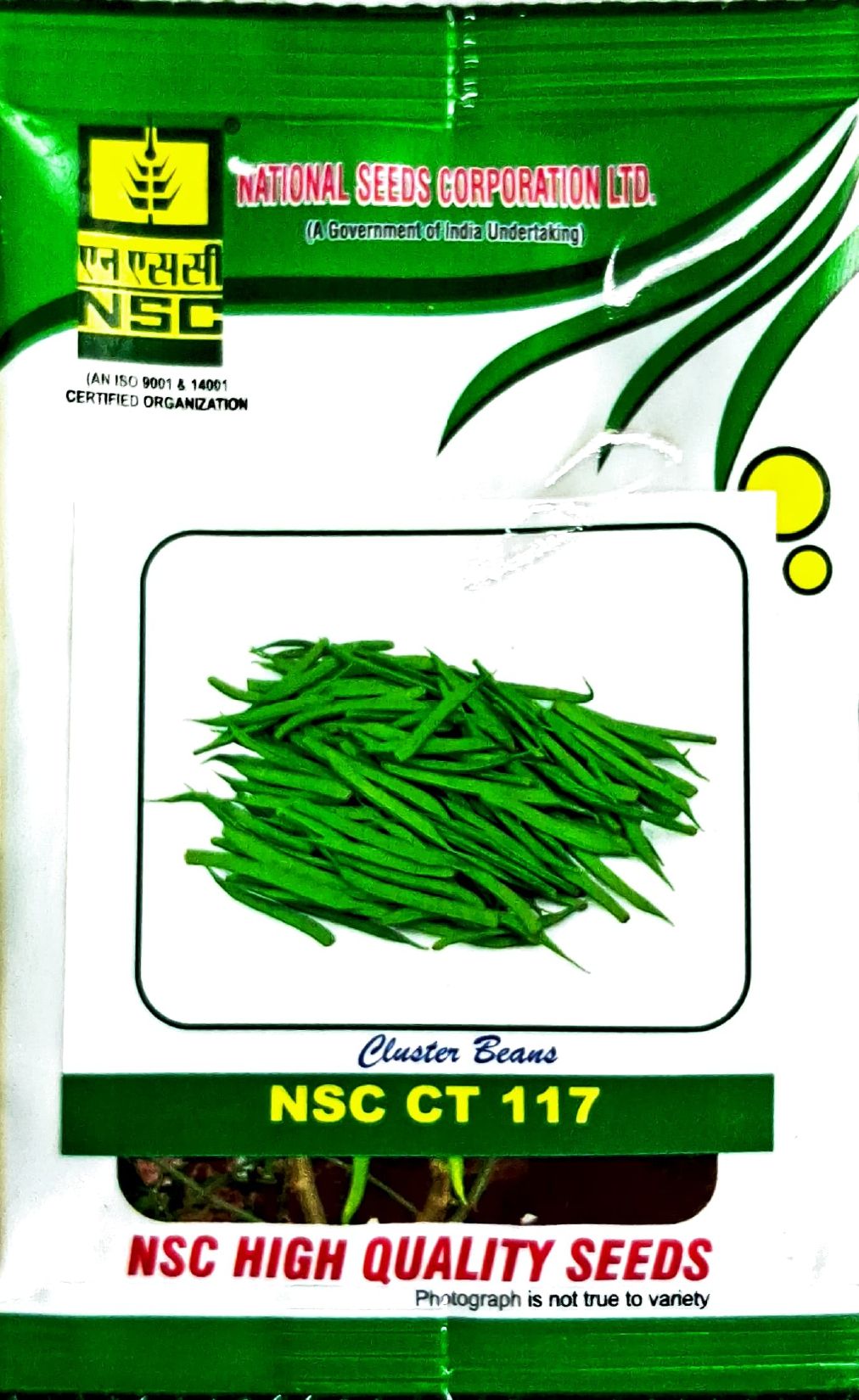 Cluster Bean NSC CT 117