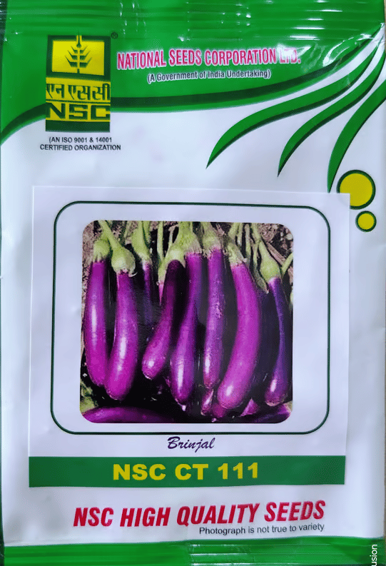 Brinjal NSC CT 111