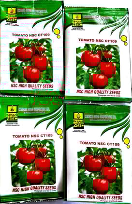 NSC TOMATO CT109 Pack 0f 4