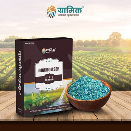 Gramoliser NPK 19:19:19 Fertilizer