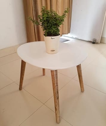 Coffee Table-Oval Wood Coffee Table Storage and Display Sofa Table, Small Modern Table Furniture for Living Room&Home Office (White)