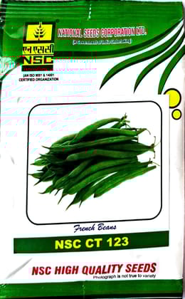 NSC FRENCH BEANS CT 123