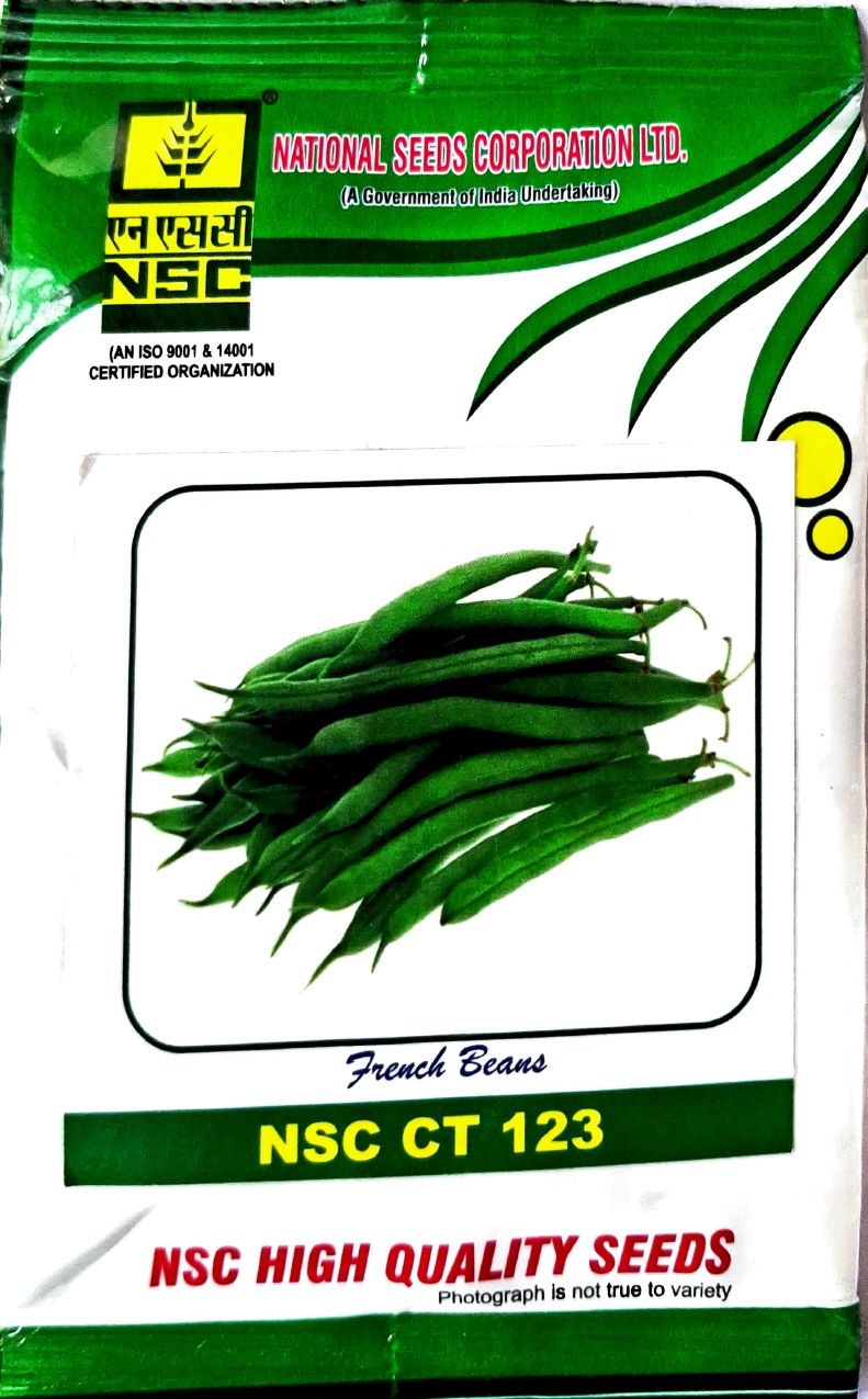 NSC FRENCH BEANS CT 123