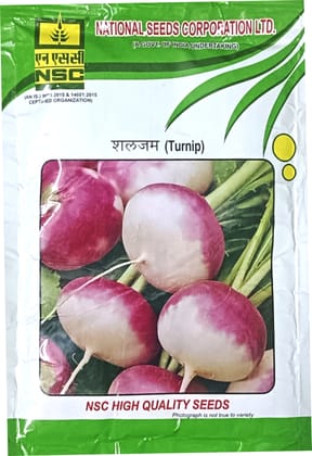 TURNIP