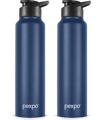 Pexpo Sports and Hiking Stainless Steel Chromo Pink Fridge Water Bottle 750ml mL ( Set of 1 )