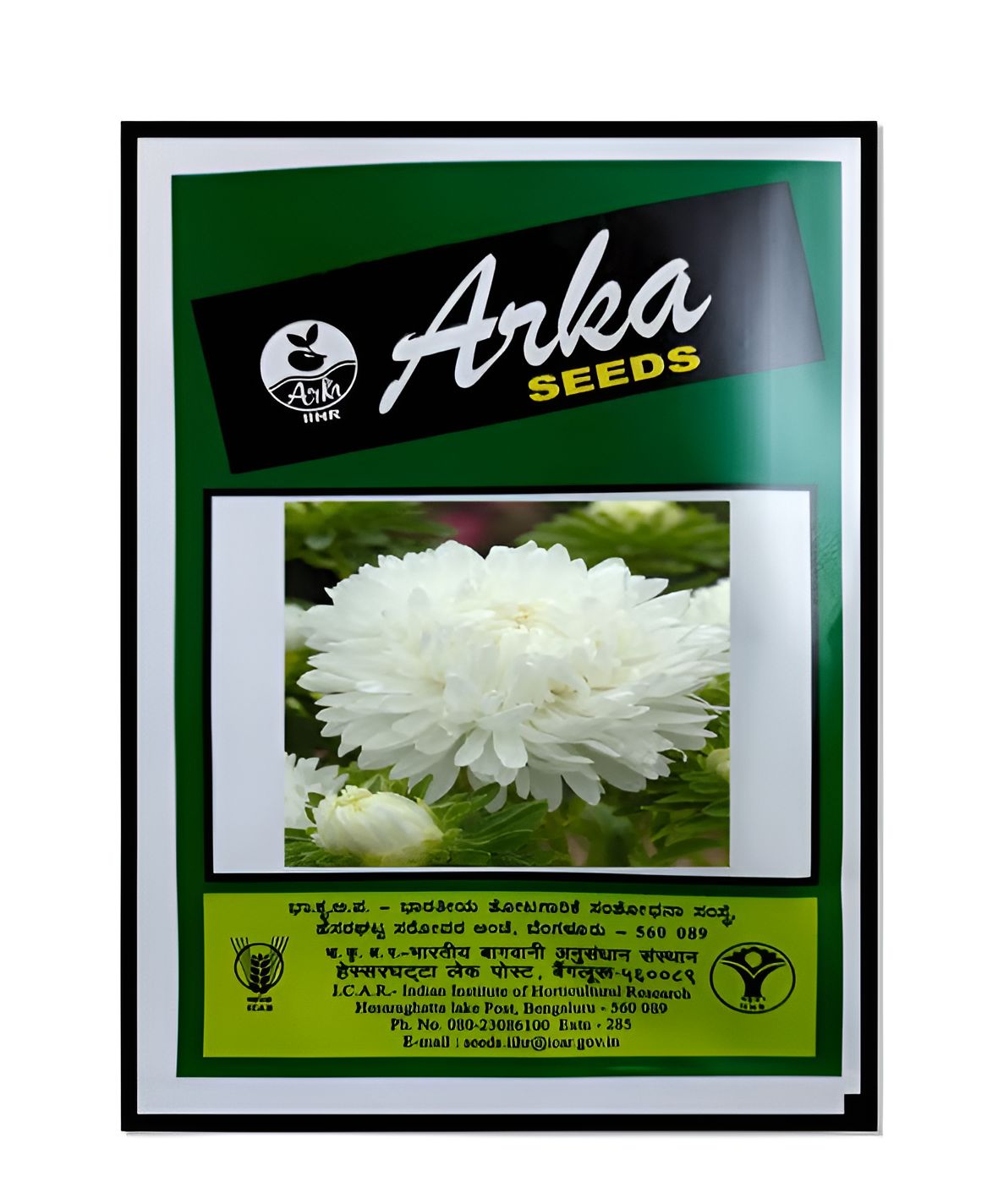 NSC IIHR CHINA ASTER  ARKA ARCHANA - 10 GM
