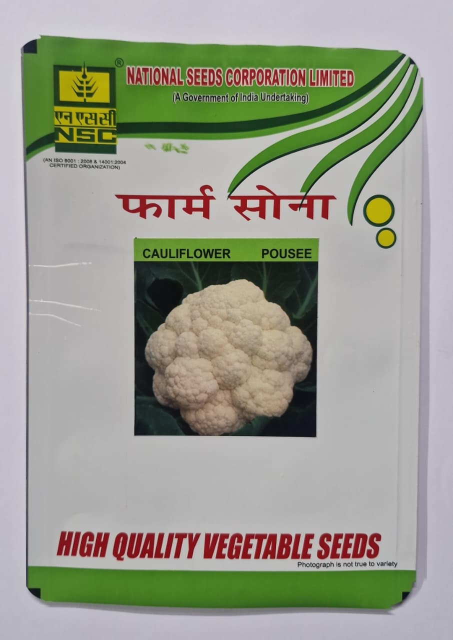 NSC Cauliflower Pousee, 10gm